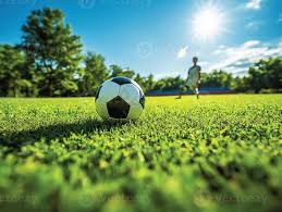 足彩21025期专家推荐平台界面展示