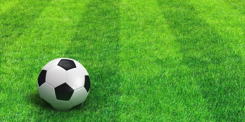 足彩赛事预测数据展示